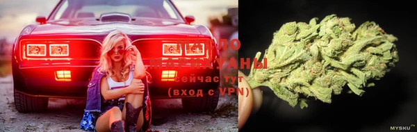 эйфоретик Баксан