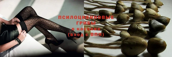 apvp Балахна