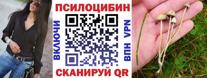 darknet как зайти  Новый Оскол  Псилоцибиновые грибы MAGIC MUSHROOMS 
