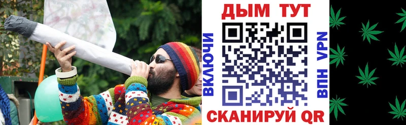 Канабис сатива  купить наркотики сайты  Новый Оскол 